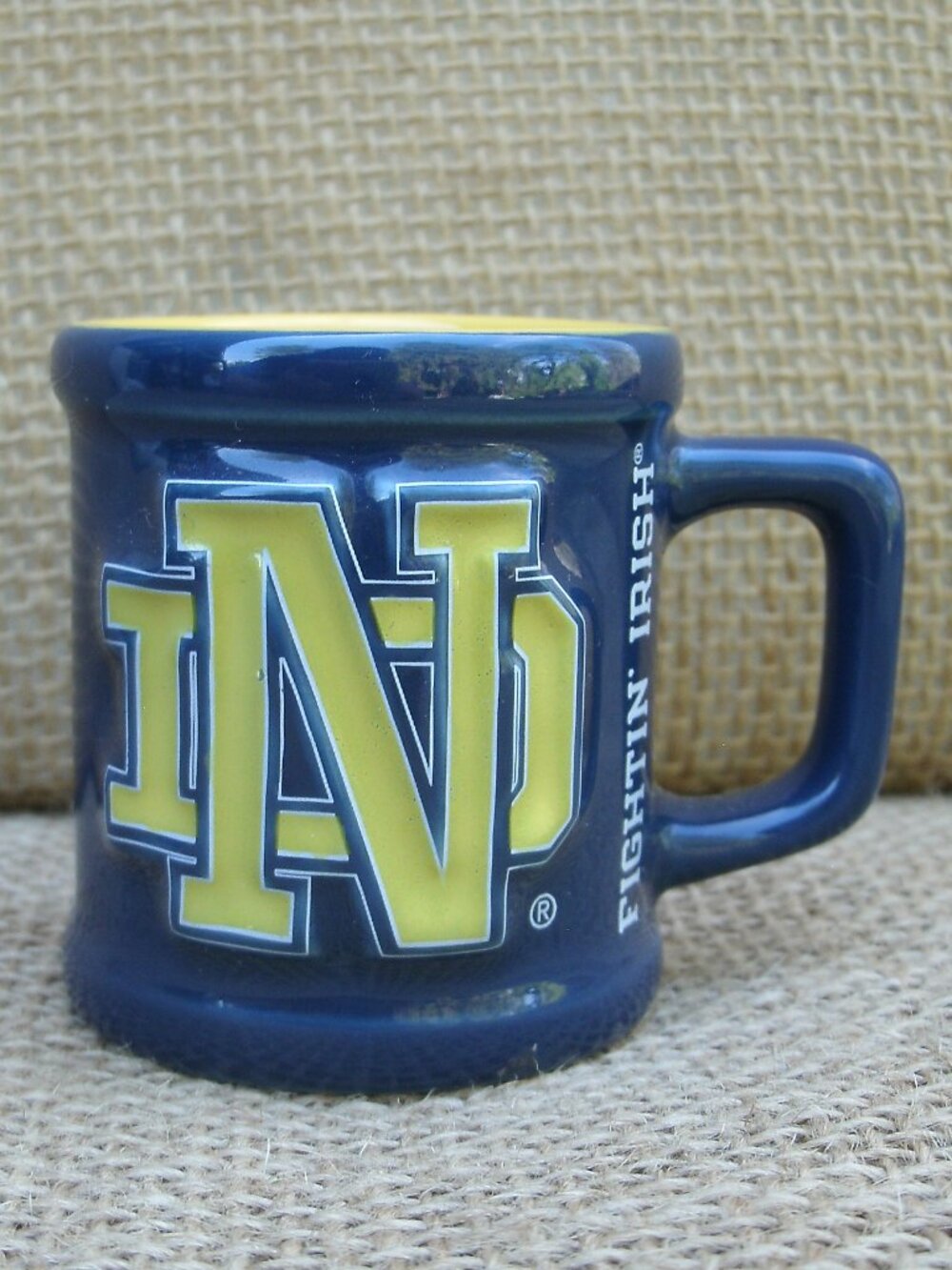 Vintage Notre Dame Mini Mug Shot Glass